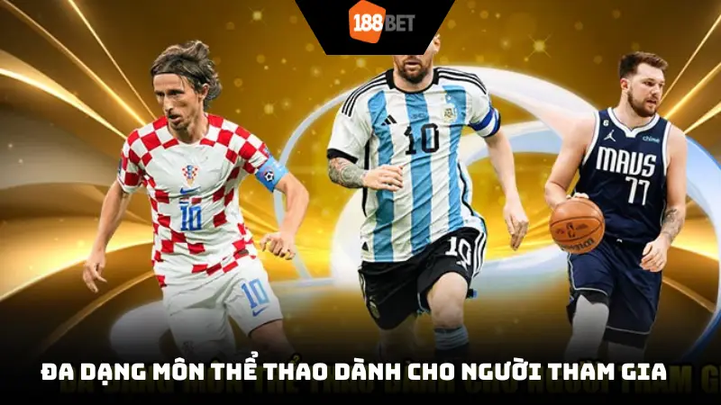 Đa dạng môn thể thao dành cho người tham gia