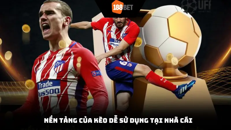 Nền tảng của kèo dễ sử dụng tại nhà cái
